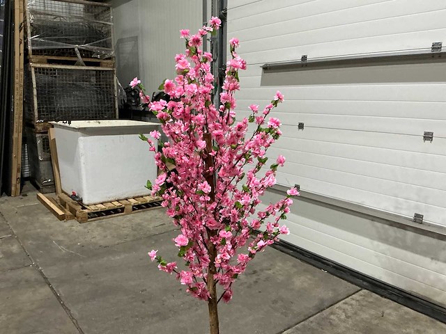 Kersen bloesem - afbeelding 6 van  10