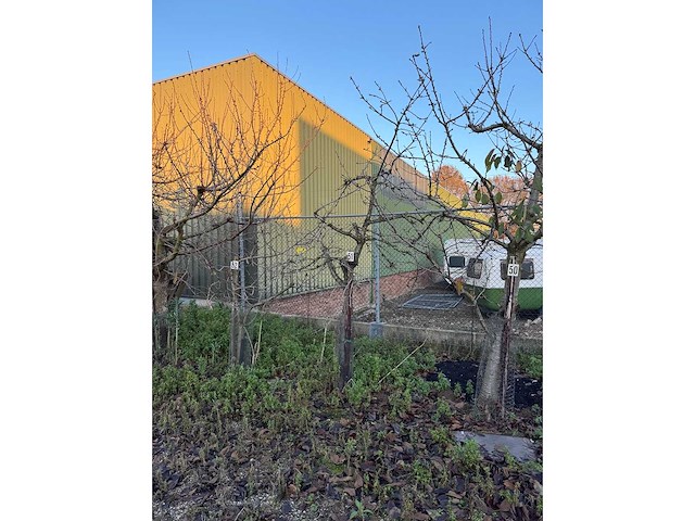 Kersenboom (54x) - afbeelding 16 van  115