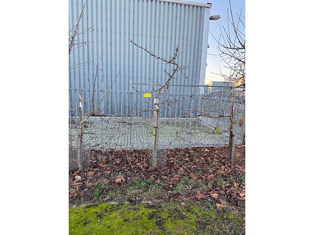 Kersenboom (54x) - afbeelding 20 van  115