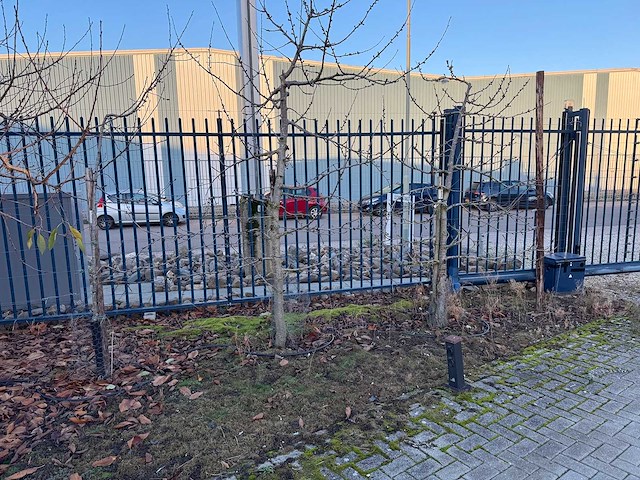 Kersenboom (54x) - afbeelding 1 van  115