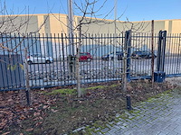 Kersenboom (54x) - afbeelding 1 van  115