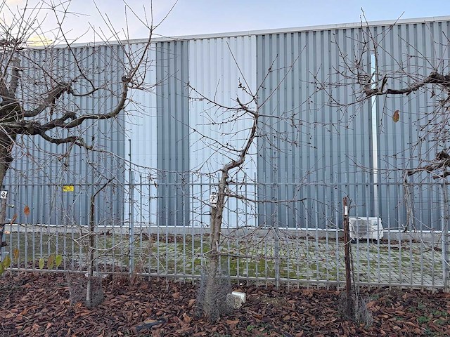 Kersenboom (54x) - afbeelding 29 van  115