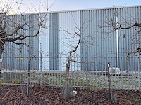 Kersenboom (54x) - afbeelding 29 van  115