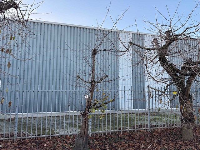 Kersenboom (54x) - afbeelding 33 van  115