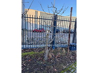 Kersenboom (54x) - afbeelding 28 van  115