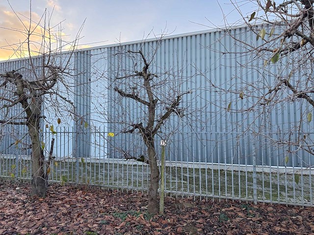 Kersenboom (54x) - afbeelding 42 van  115