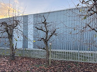 Kersenboom (54x) - afbeelding 42 van  115