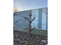 Kersenboom (54x) - afbeelding 47 van  115