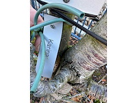 Kersenboom (54x) - afbeelding 39 van  115