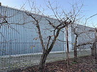 Kersenboom (54x) - afbeelding 57 van  115