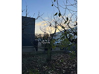 Kersenboom (54x) - afbeelding 65 van  115