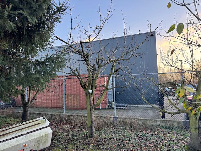 Kersenboom (54x) - afbeelding 66 van  115