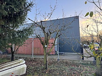 Kersenboom (54x) - afbeelding 66 van  115