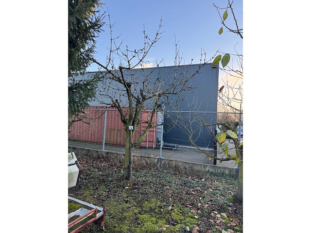 Kersenboom (54x) - afbeelding 67 van  115