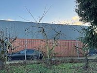 Kersenboom (54x) - afbeelding 71 van  115