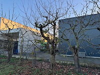 Kersenboom (54x) - afbeelding 87 van  115