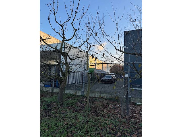 Kersenboom (54x) - afbeelding 92 van  115