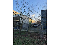 Kersenboom (54x) - afbeelding 92 van  115