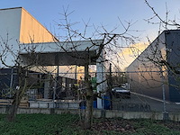 Kersenboom (54x) - afbeelding 96 van  115