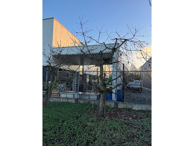 Kersenboom (54x) - afbeelding 97 van  115