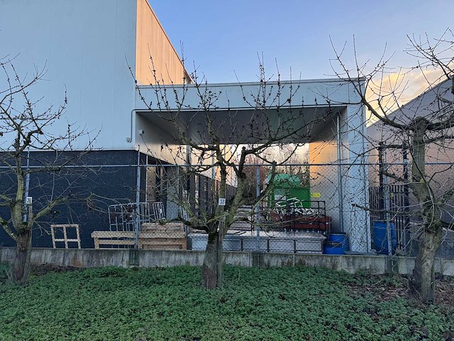 Kersenboom (54x) - afbeelding 98 van  115