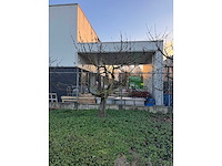 Kersenboom (54x) - afbeelding 99 van  115