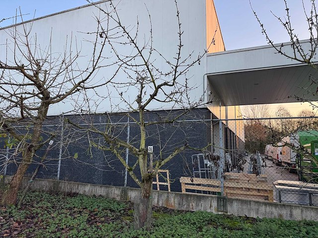 Kersenboom (54x) - afbeelding 100 van  115