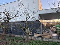 Kersenboom (54x) - afbeelding 100 van  115