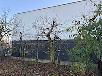 Kersenboom (54x) - afbeelding 107 van  115