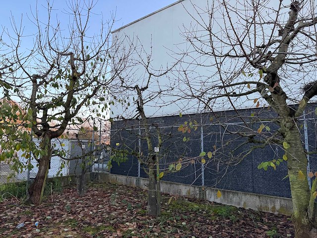 Kersenboom (54x) - afbeelding 109 van  115