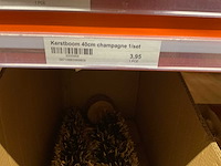 Kerst- & seizoensartikelen - afbeelding 6 van  14