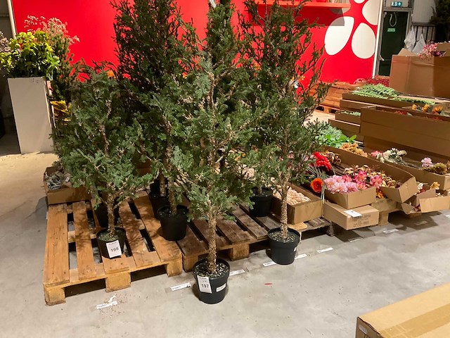Kerstbomen (4x) - afbeelding 1 van  4