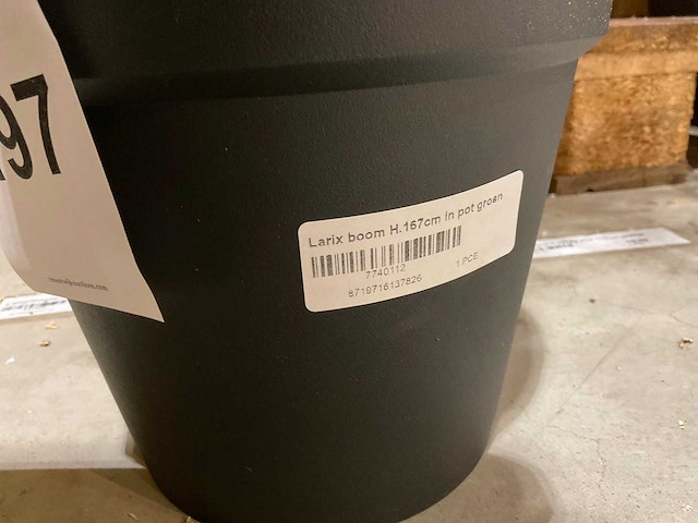 Kerstbomen (4x) - afbeelding 2 van  4