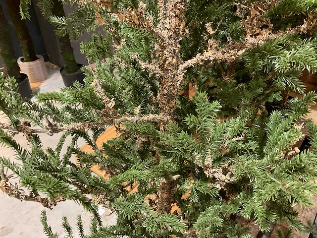 Kerstbomen (4x) - afbeelding 3 van  4