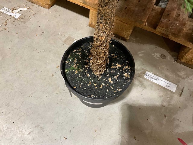 Kerstbomen (4x) - afbeelding 4 van  4