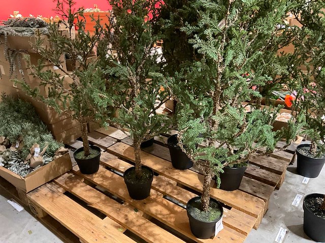 Kerstbomen (4x) - afbeelding 1 van  4