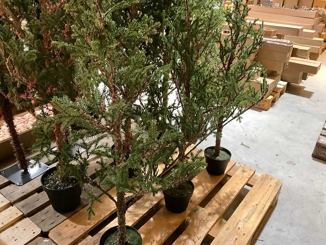 Kerstbomen (4x) - afbeelding 2 van  4