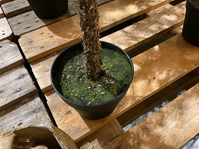 Kerstbomen (4x) - afbeelding 3 van  4