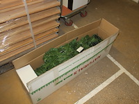 Kerstboom - afbeelding 1 van  5