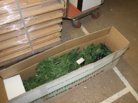 Kerstboom - afbeelding 5 van  5