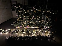Kerstguirlande elementen - afbeelding 7 van  11