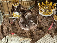 Kerstknuffels en plantenbakjes - afbeelding 8 van  8