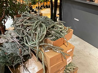 Kerstversieringen - afbeelding 6 van  8