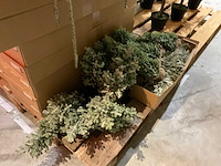 Kerstversieringen - afbeelding 7 van  8