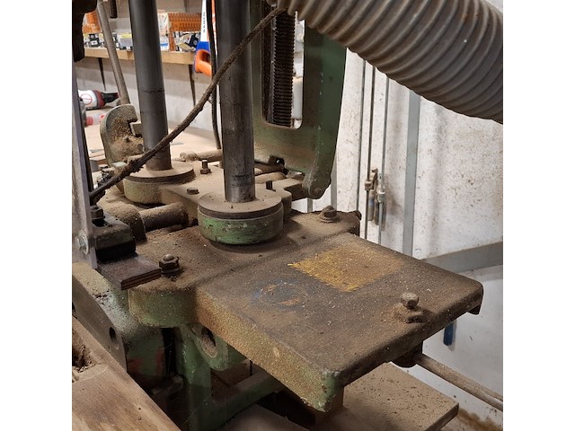 Kettingfrees fezer, 12 322 - afbeelding 13 van  14