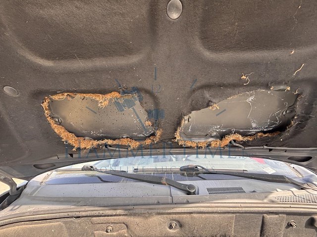 Kgm / ssangyong kyron 2.0 turbo m 200 xdi 2wd, 2007 - afbeelding 25 van  37