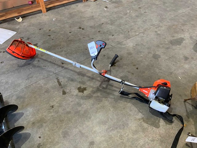 Kibani bosmaaier - afbeelding 1 van  5