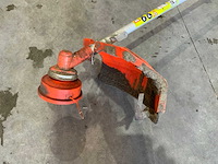 Kibani bosmaaier - afbeelding 4 van  5