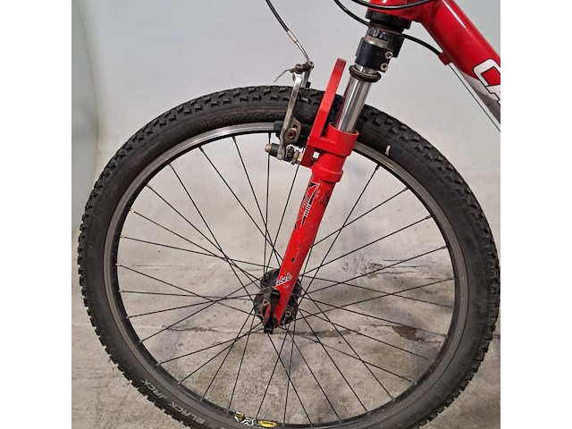 Kinder mountainbike, cannondale, rurio - afbeelding 8 van  13