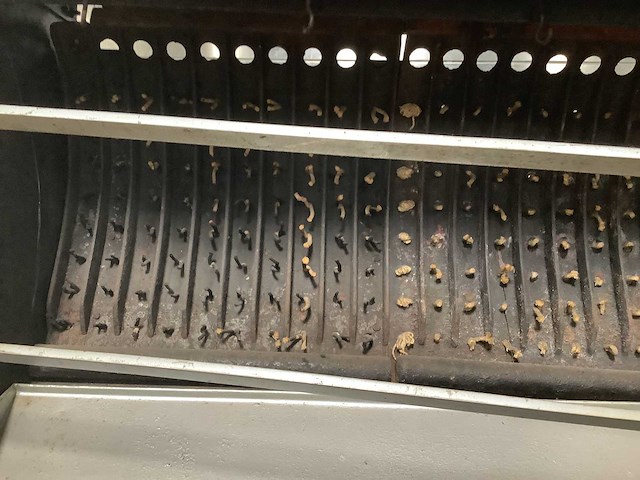 Kippengrill decoratief - afbeelding 4 van  5